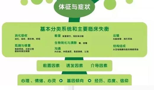 2.了解消化系统——胃肠道 商品图0