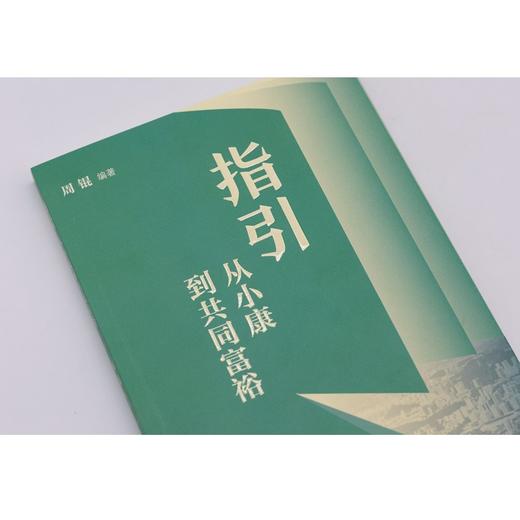指引：从小康到共同富裕 商品图2