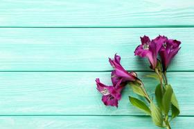  看了那么多中医养生文章，为何碰到问题时仍然不会调理自己的身体 