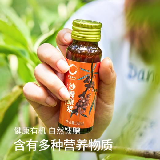 【早晚各一瓶，睡觉像小猪】有机沙棘原浆 内蒙古沙漠之花出品 50ml/瓶 10瓶/箱 2箱装 每日一支，补充维生素！同款沙棘果汁上线！ 商品图3