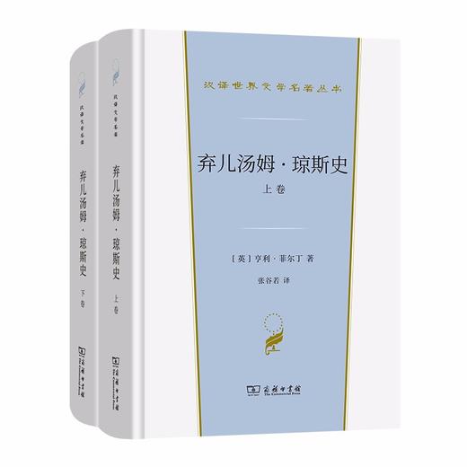 弃儿汤姆·琼斯史(全两卷)（汉译世界文学名著丛书·第1辑·小说类） 商品图0