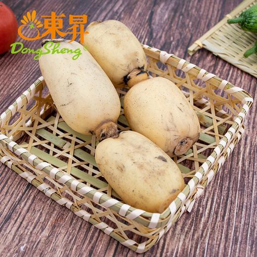 东升农场 新垦莲藕 新鲜时令食材 4斤 包邮 商品图2