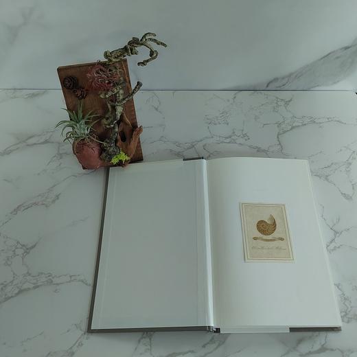 从东南到西南——人文区位学随笔（光启文库） 商品图3