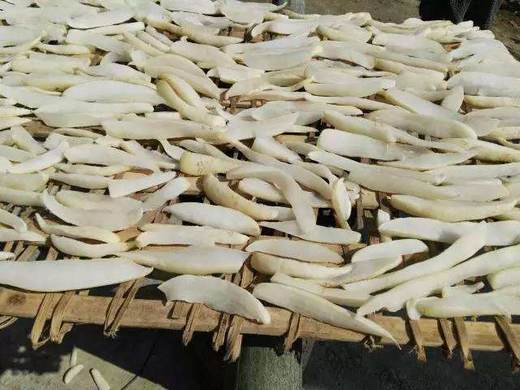 HG萝卜干1000克（仅限湖北省内） 商品图2