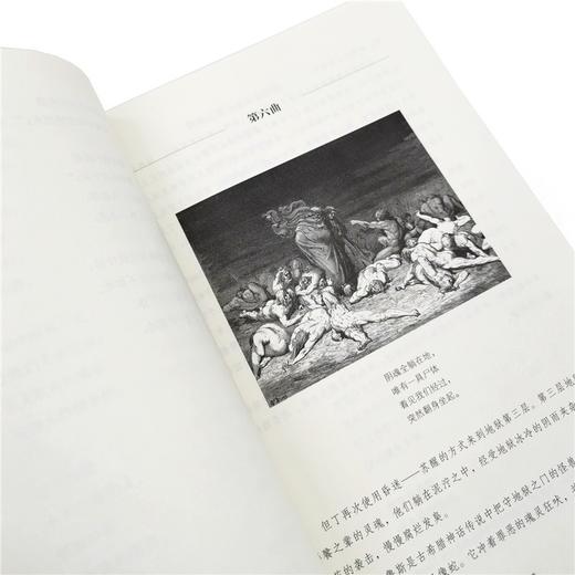 神曲(全三卷) [意]但丁 著 商品图4