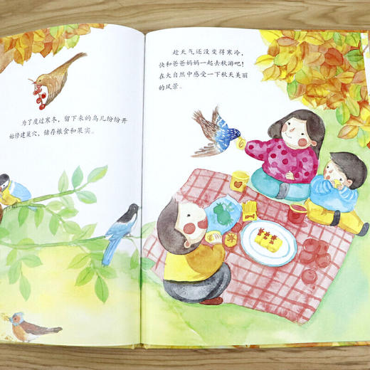 美丽的四季：秋天里的故事 关于春天的季节故事书 3-6岁幼儿科普启蒙早教读物 二十四节气故事 商品图4