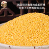 【推荐】正宗陕北农家新米脂油小米 黄土高原种植 500g*6袋礼盒装 商品缩略图1