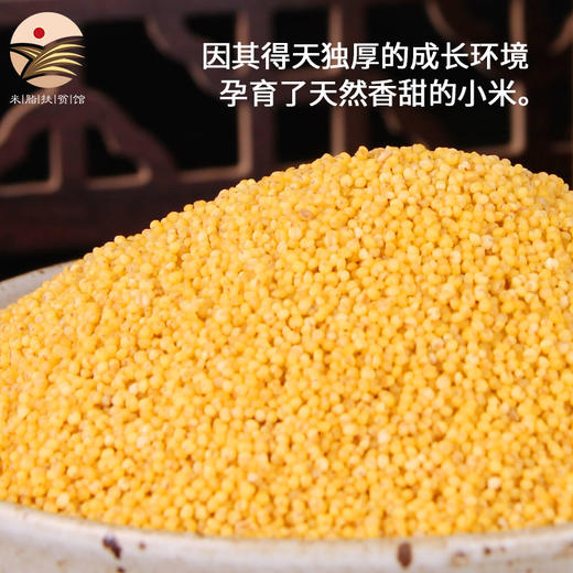 【推荐】正宗陕北农家新米脂油小米 黄土高原种植 500g*6袋礼盒装 商品图1