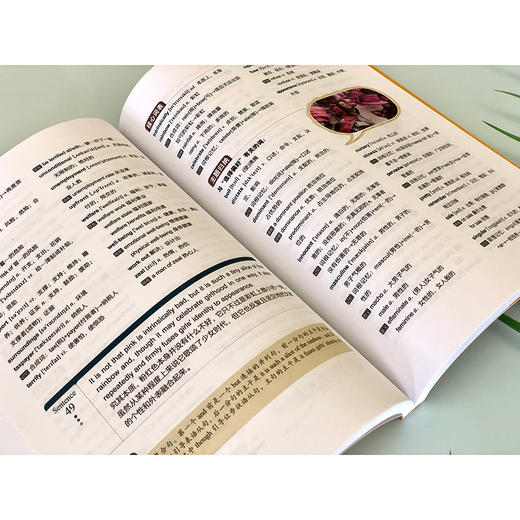 新东方 100个句子记完5500个考研单词 商品图3