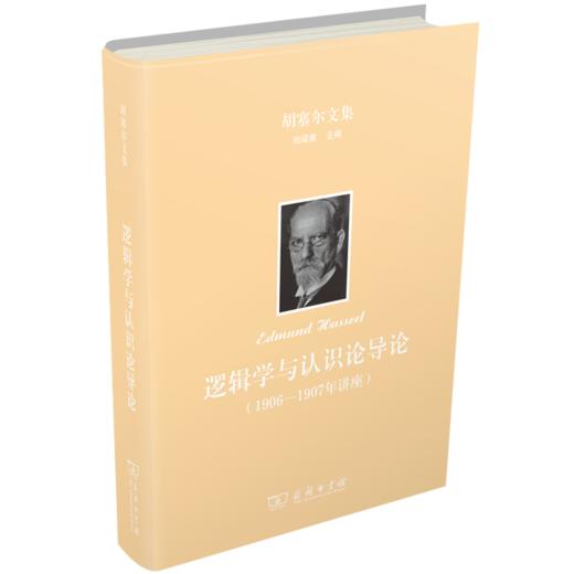 逻辑学与认识论导论：1906—1907年讲座（胡塞尔文集） 商品图0