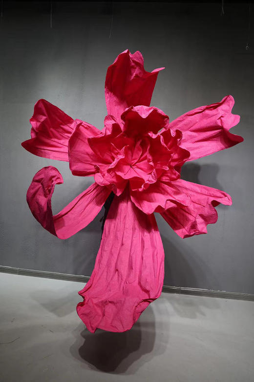 化蝶（运费自理） 商品图1