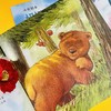 【连岳专享】《小熊绘本(全4册)》解决二胎、父亲缺位、祖孙辈相处等热点家庭教育问题的生动示范教材！ 商品缩略图5