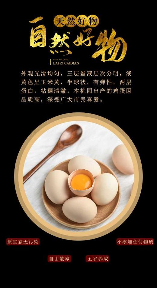 HG土鸡蛋（仅限湖北省内） 商品图6