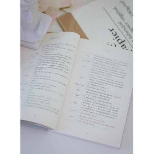 阿西西的圣方济各 商品图9