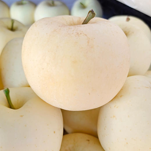 台湾白苹果 商品图1
