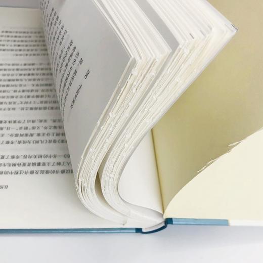 中国学案史(毛边本)(中华当代学术著作辑要) 商品图2