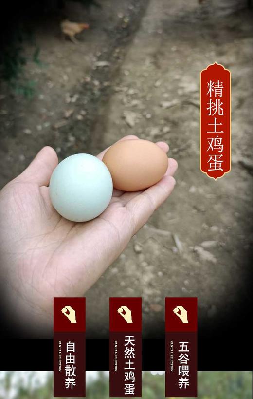 HG土鸡蛋（仅限湖北省内） 商品图1