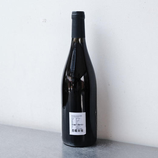 宇航员薇拉 商品图1