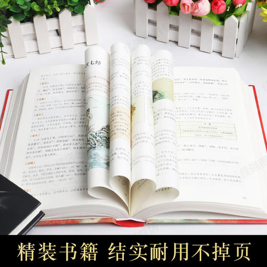 山海经全彩正版图说图解全18卷彩图版全解硬壳珍藏版经典画册原著原版白话文三海经校注图文注释袁珂画集画册绘本 商品图3