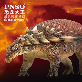 PNSO北方盾龙加文恐龙大王成长陪伴模型31