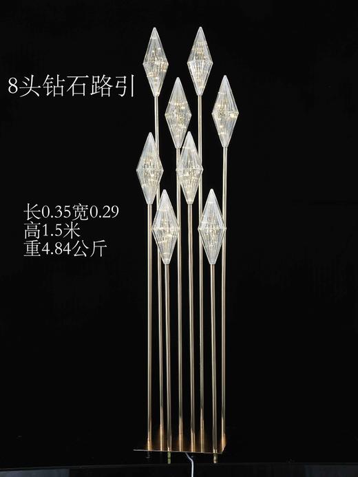 8头钻石路引（运费自理） 商品图0