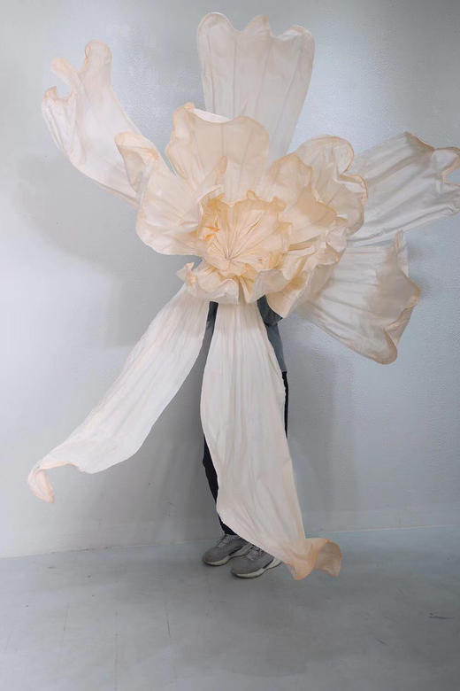 化蝶（运费自理） 商品图13