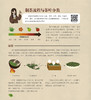 太好看了！奇妙的手绘图解茶百科 商品缩略图7