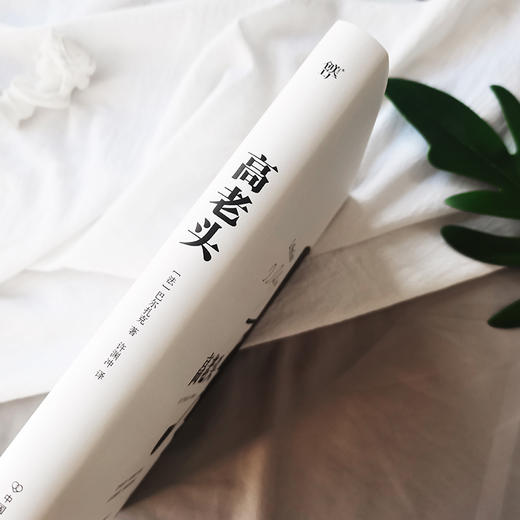 (仓发) 高老头（精装典藏版，许渊冲教授经典全译本，巴尔扎克《人间喜剧》的基石，雨果、毛姆推崇的经典）/中国友谊出版公司/[法]巴尔扎克/9787505734661 商品图3