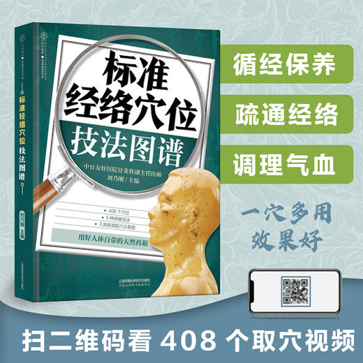 标准经络穴位技法图谱 商品图2