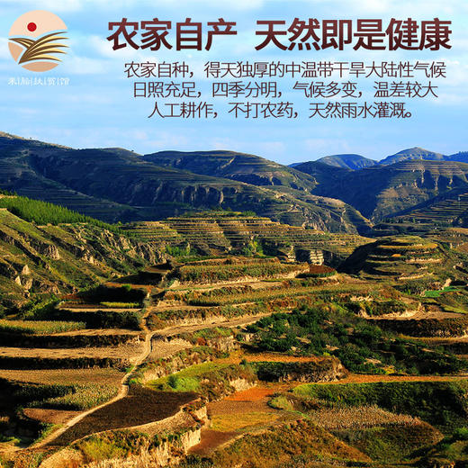 【推荐】正宗陕北农家新米脂油小米 黄土高原种植 500g*6袋礼盒装 商品图2