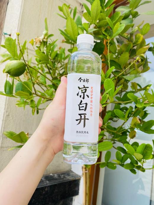 今麦郎凉白开 商品图0