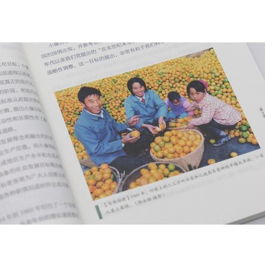 指引：从小康到共同富裕 商品图7