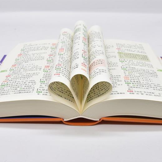 商务馆小学生多功能成语词典（彩图本） 商品图3