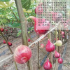 HG无花果干500克（仅限湖北省内） 商品缩略图8