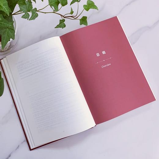 现象(第一卷) 商品图3