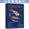 燃烧的蜂鸟 法医秦明十周年诚意之作 全新复古悬疑系列 根据父亲从警36年的刑侦笔记改编 如《人世间》般动人 推理悬疑 商品缩略图2