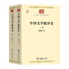 中国文学批评史(全两册)（中华现代学术名著丛书） 商品缩略图0