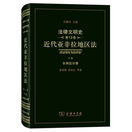法律文明史(第12卷)：近代亚非拉地区法(中卷·非洲法分册) 商品图0