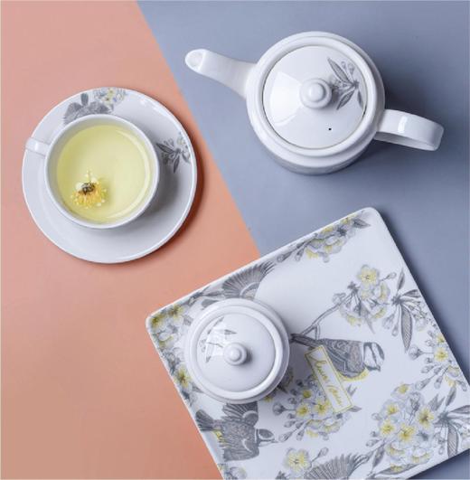 【团购展示】RAK雀语系列（9头） 商品图0