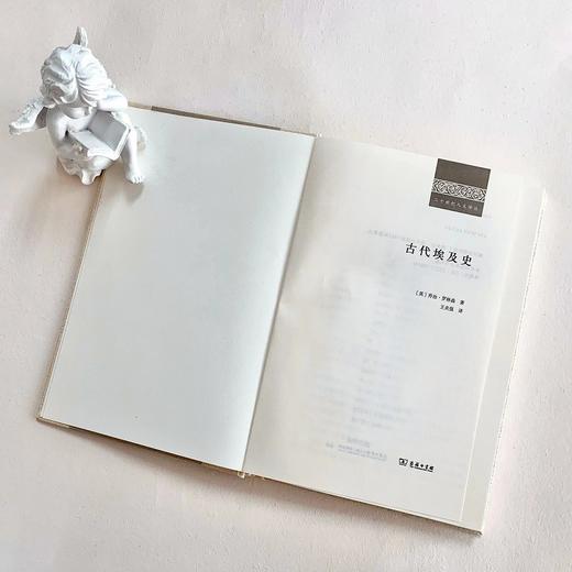 古代埃及史（二十世纪人文译丛） 商品图2