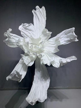 化蝶（运费自理）