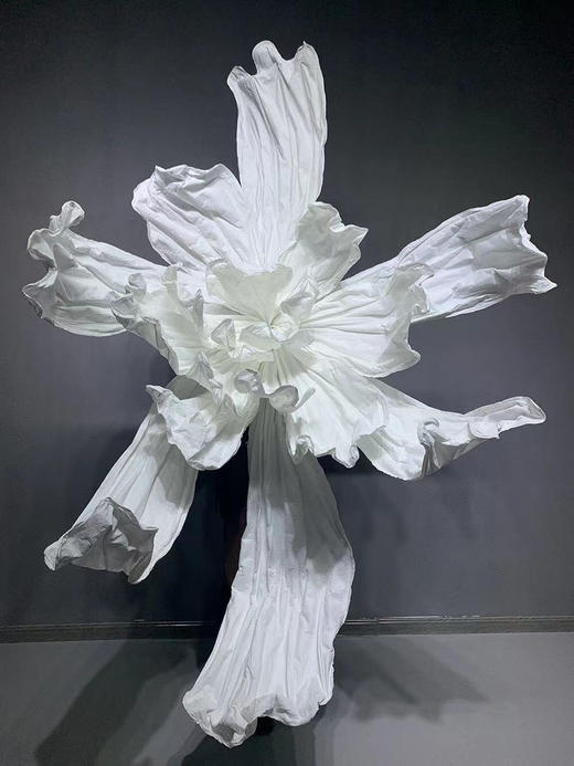 化蝶（运费自理） 商品图0