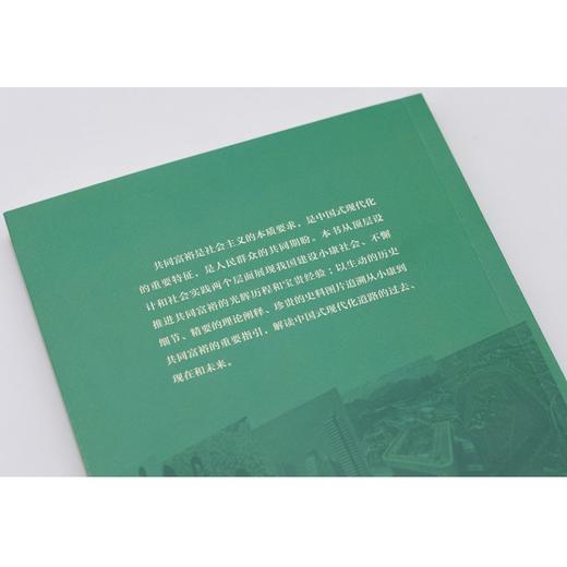 指引：从小康到共同富裕 商品图3