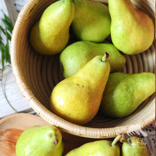 生态巴梨  | 合作生产*Ecological Bartlett | Coproducted 商品图1