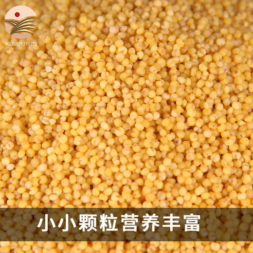 【推荐】正宗陕北农家新米脂油小米 黄土高原种植 500g*6袋礼盒装 商品图5