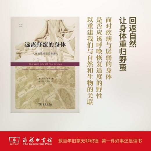 远离野蛮的身体：人体的原始记忆与演化(科学新视野)          商务印书馆 商品图0