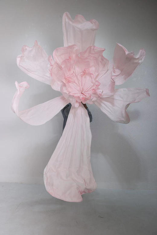 化蝶（运费自理） 商品图2