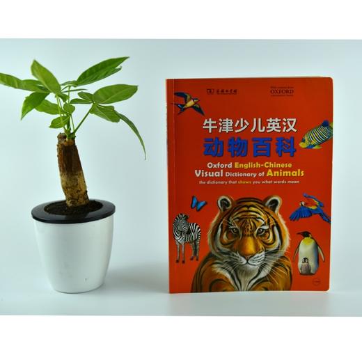 牛津少儿英汉动物百科 商务印书馆 商品图1