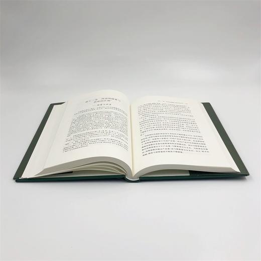 凯恩斯文集 第6-7卷：货币论(上下卷) 商品图6