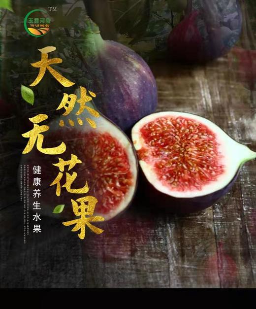 HG无花果干500克（仅限湖北省内） 商品图6